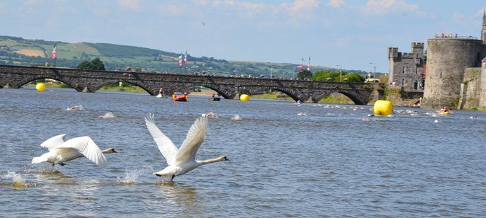 Thomond Swim – Saturday – 20th July – Limerick City/thomond swim club news 