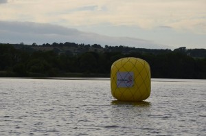 Castleconnell Summer Solstice Dip/open water club news 